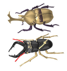 自由研究255 武将編 カブトムシ 徳川家康/クワガタムシ 本多忠勝 仕様